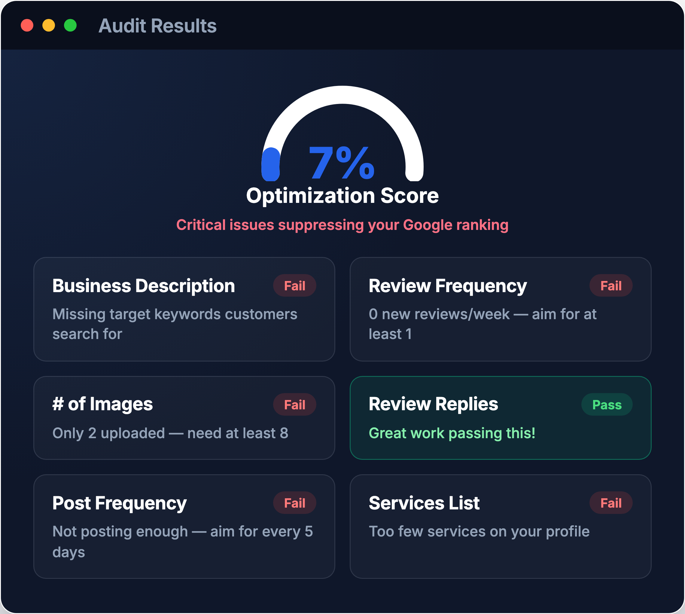 Audit results showing an optimization score and a pass/fail checklist